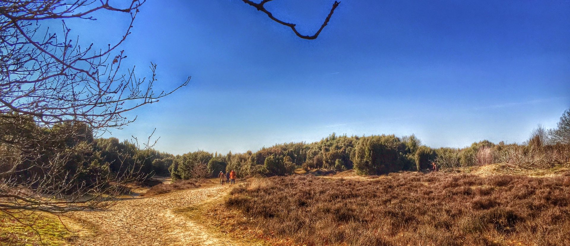 Wandelroutes Drenthe