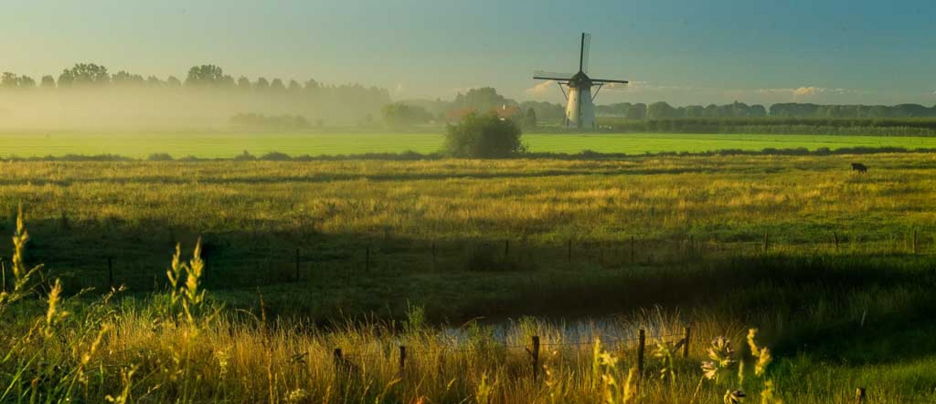 workshop-landschapsfotografie