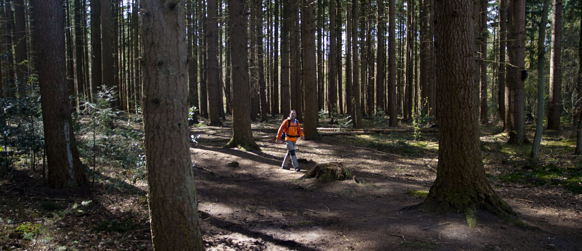 HeuvelrugHike wandelroute Utrechtse Heuvelrug