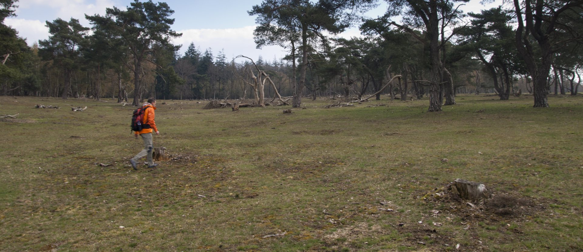 HeuvelrugHike wandelroute Utrechtse Heuvelrug