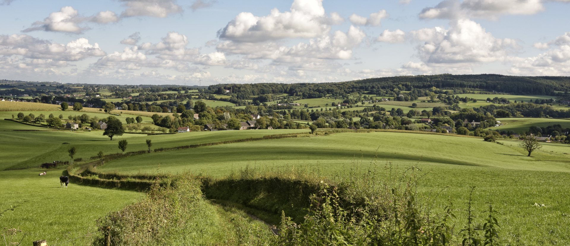 Fietserpad Zuid-Linmburg