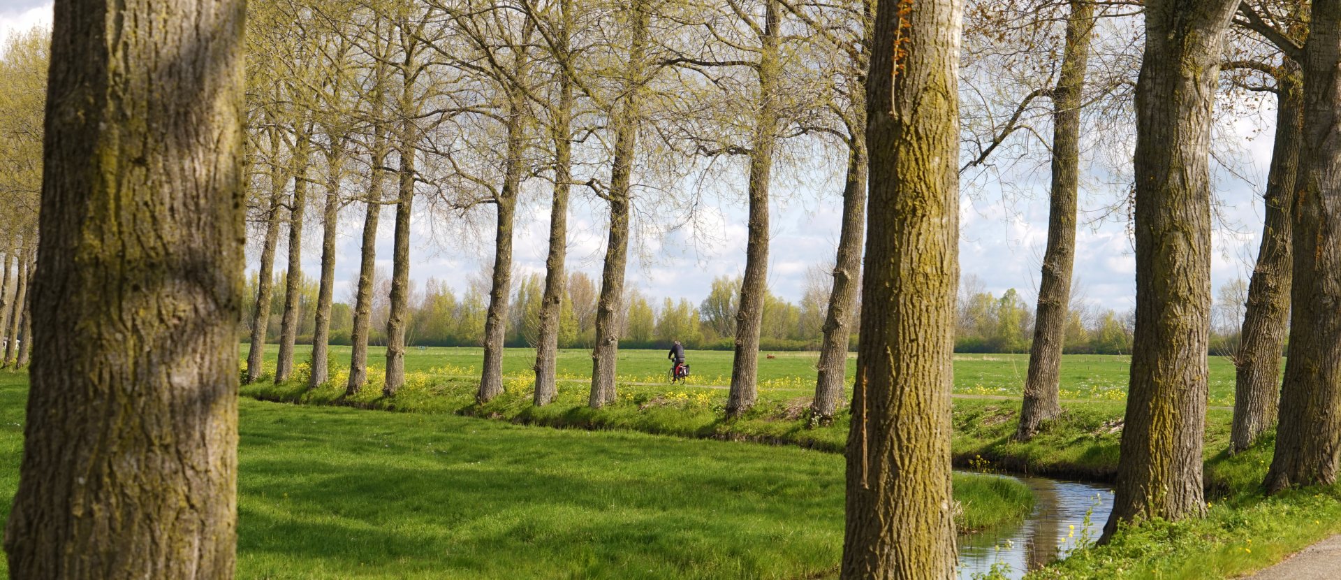 Fietserpad fietsroute