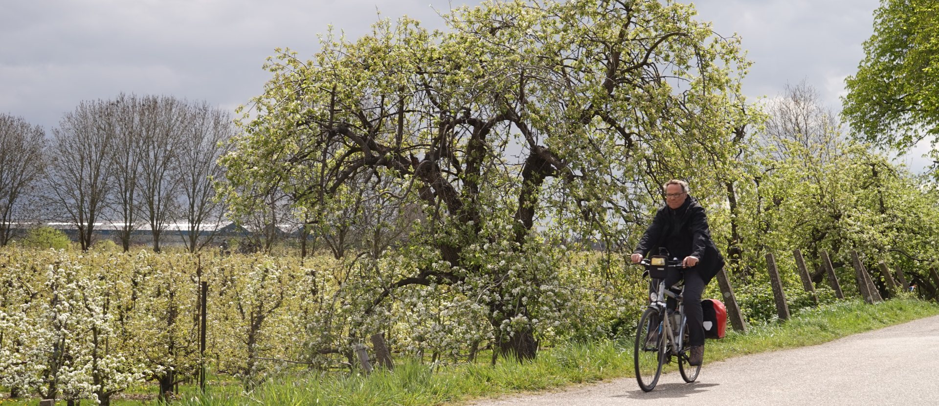 Fietserpad fietsroute