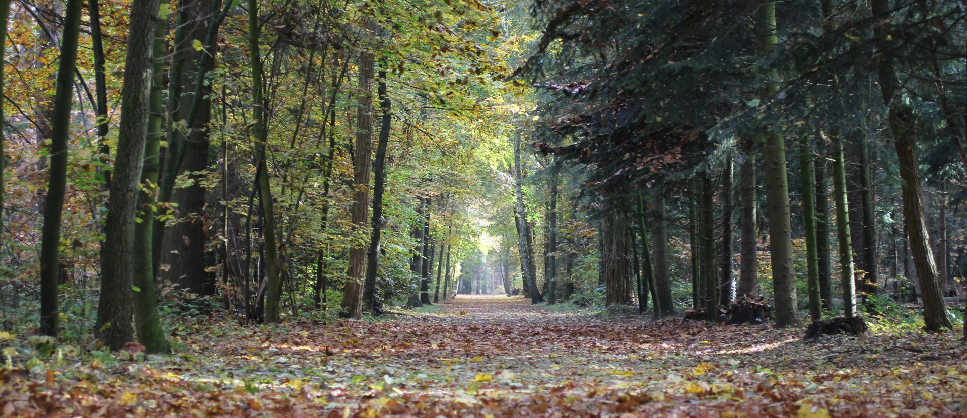 Fietserpad Fietsroute Veluwe