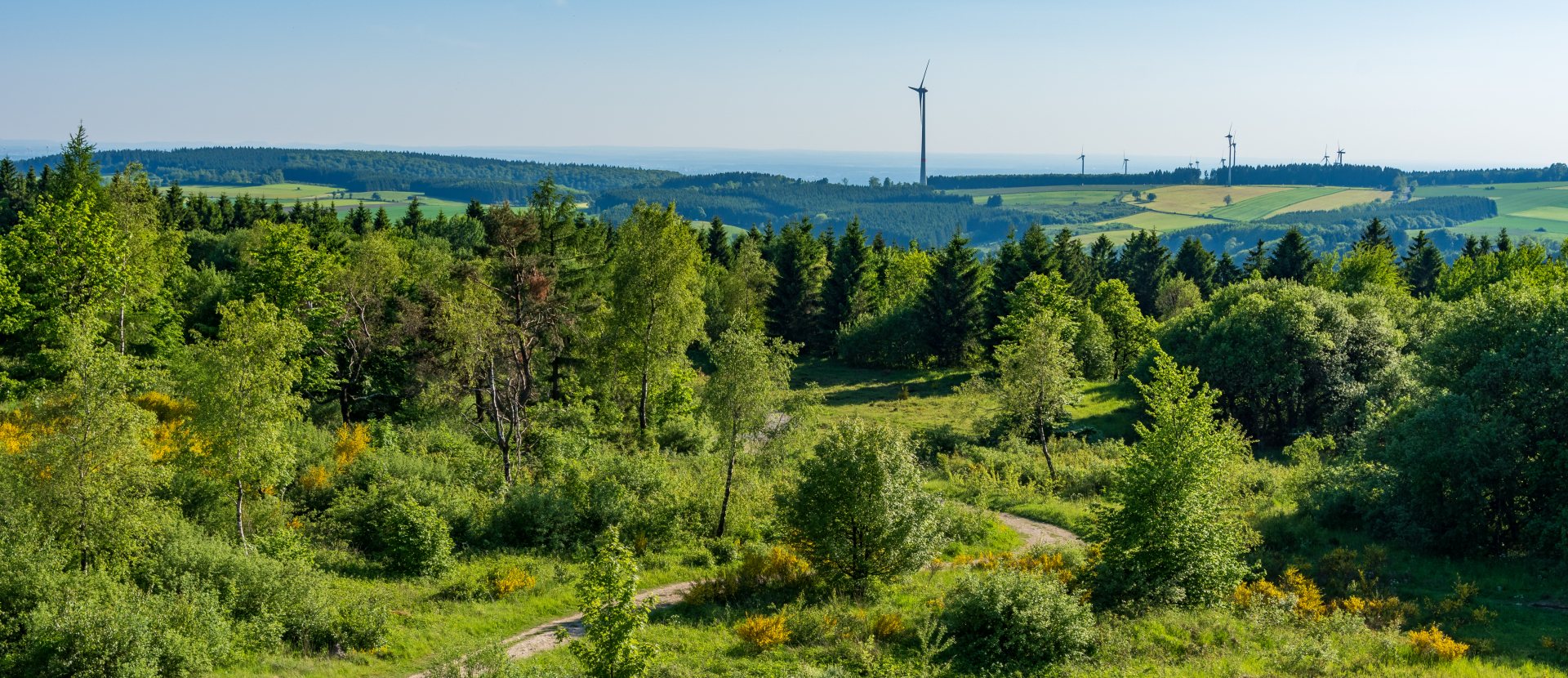 wandelen Teutoburger Woud