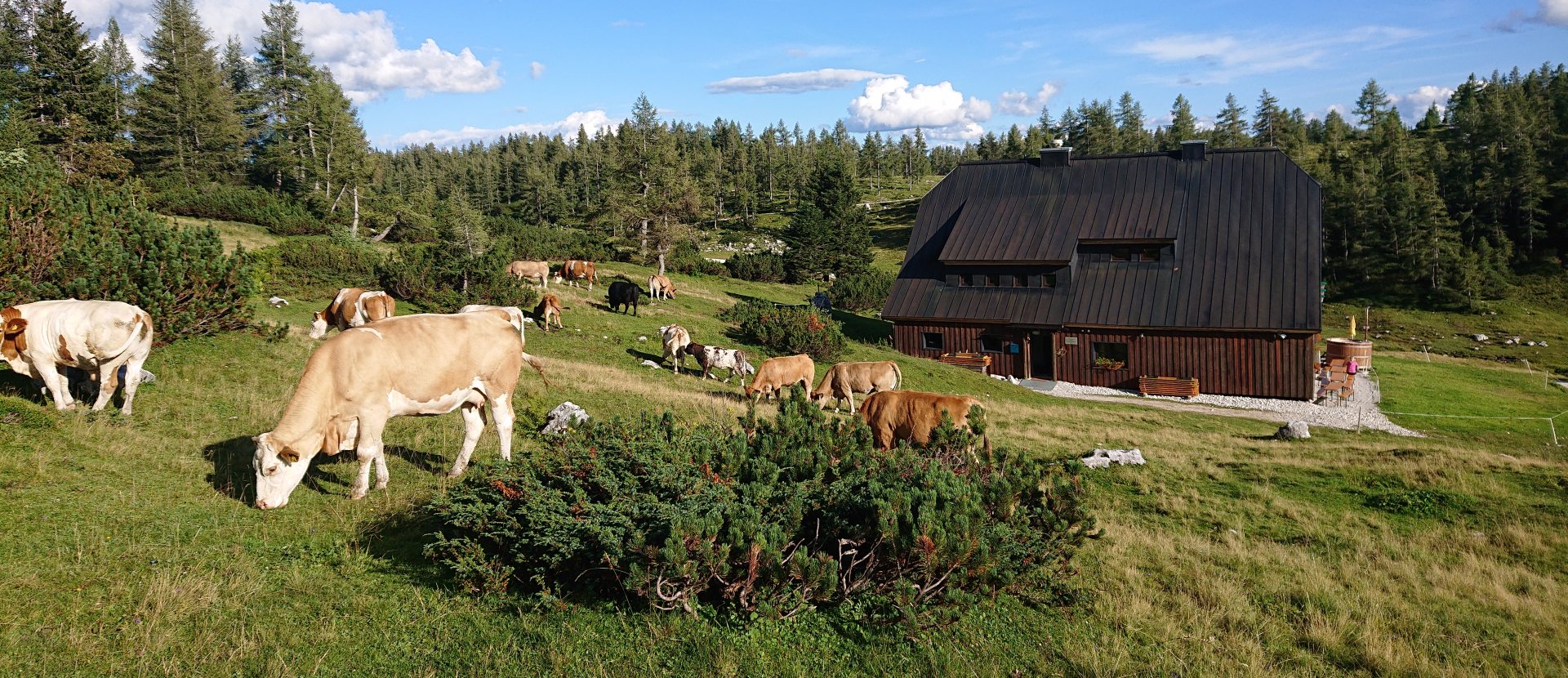 Laura Münzberg Grazerhütte