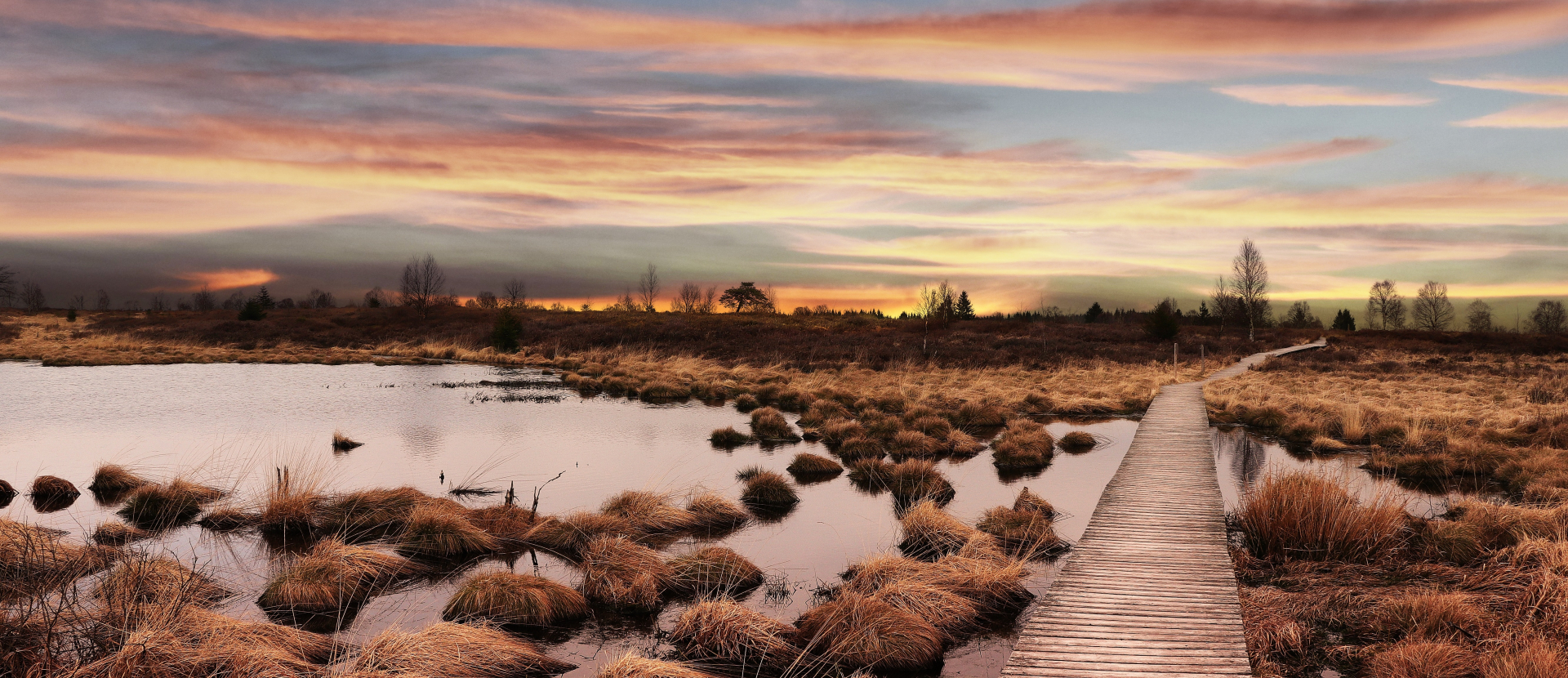 Edelherttrail Wandelroute Hoge Venen