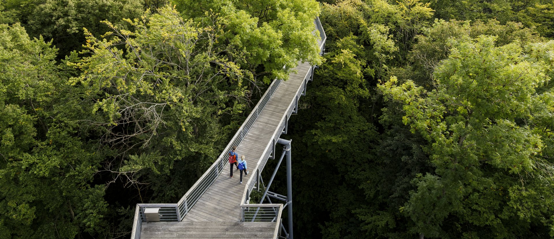 Boomkronenpad Hainich