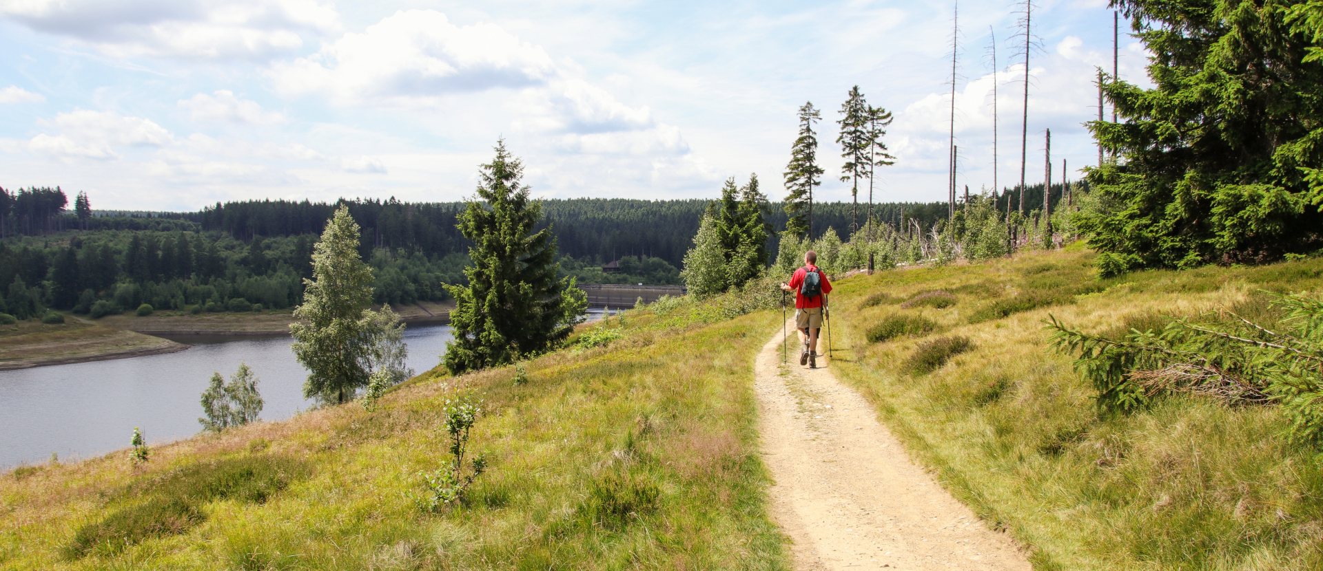 Harz wandelen