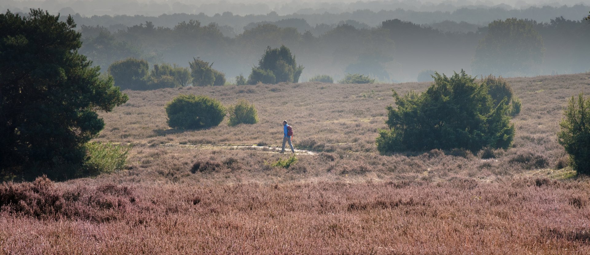 Wandelroute Sallandse Toppentocht