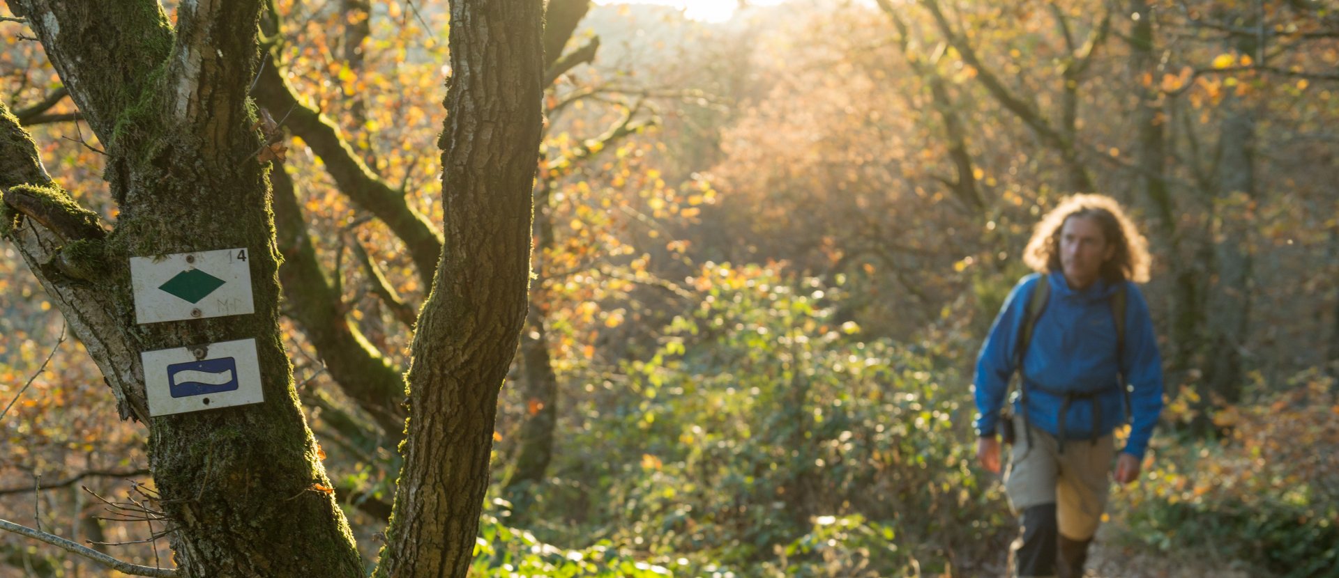 Escapardenne Eisleck Trail