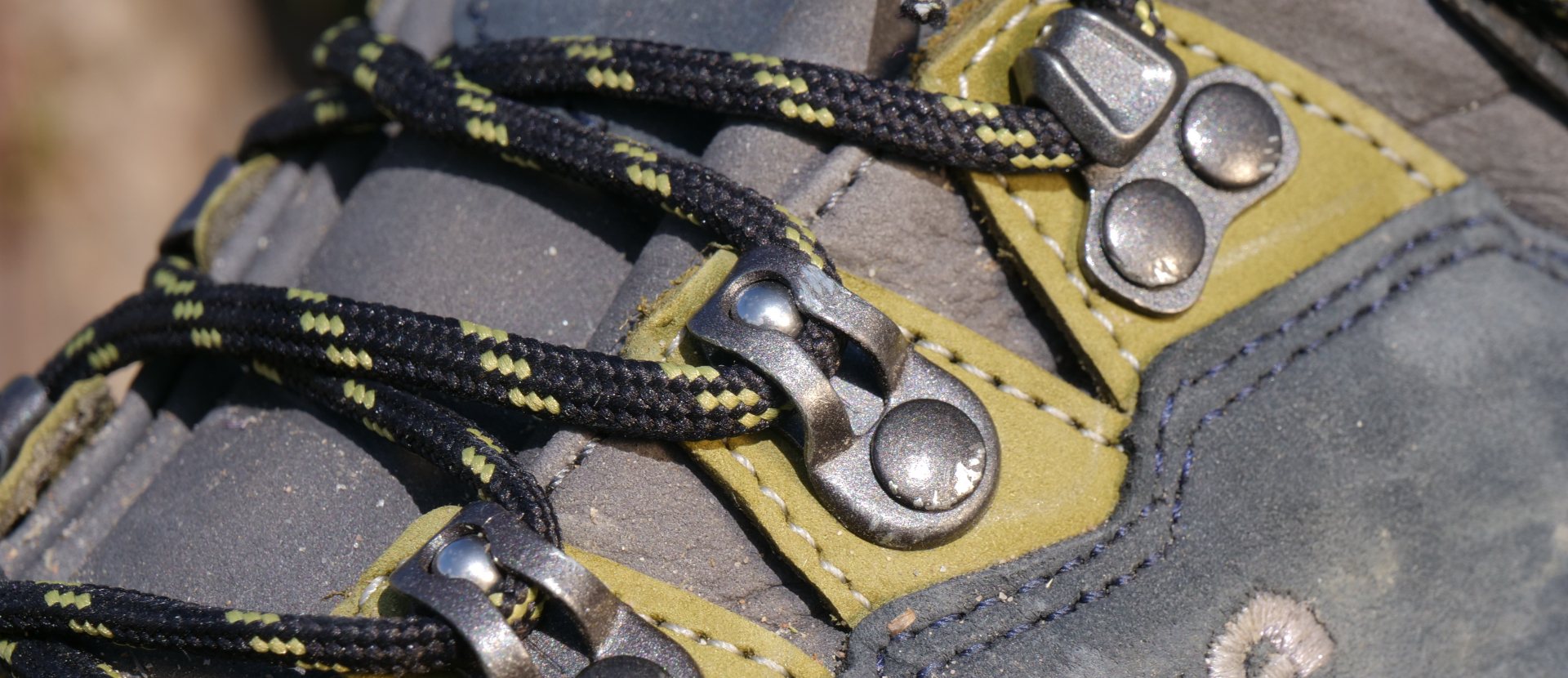 Lowa Camino Evo GTX Oogje kogellager