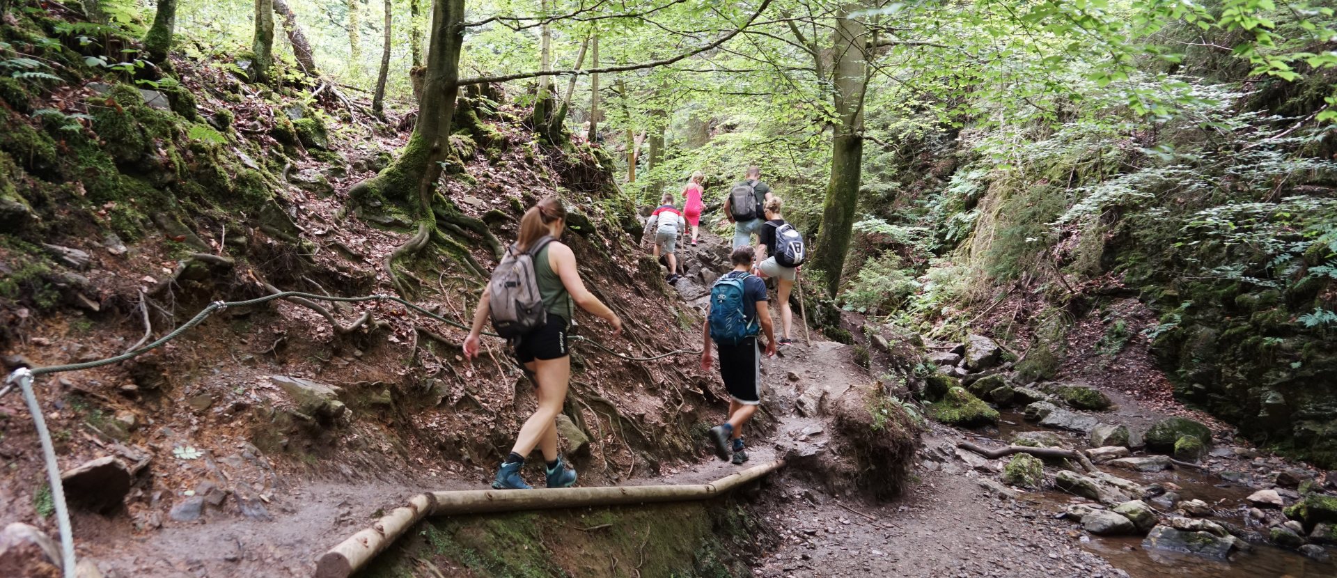 Ninglinspo Ardennen