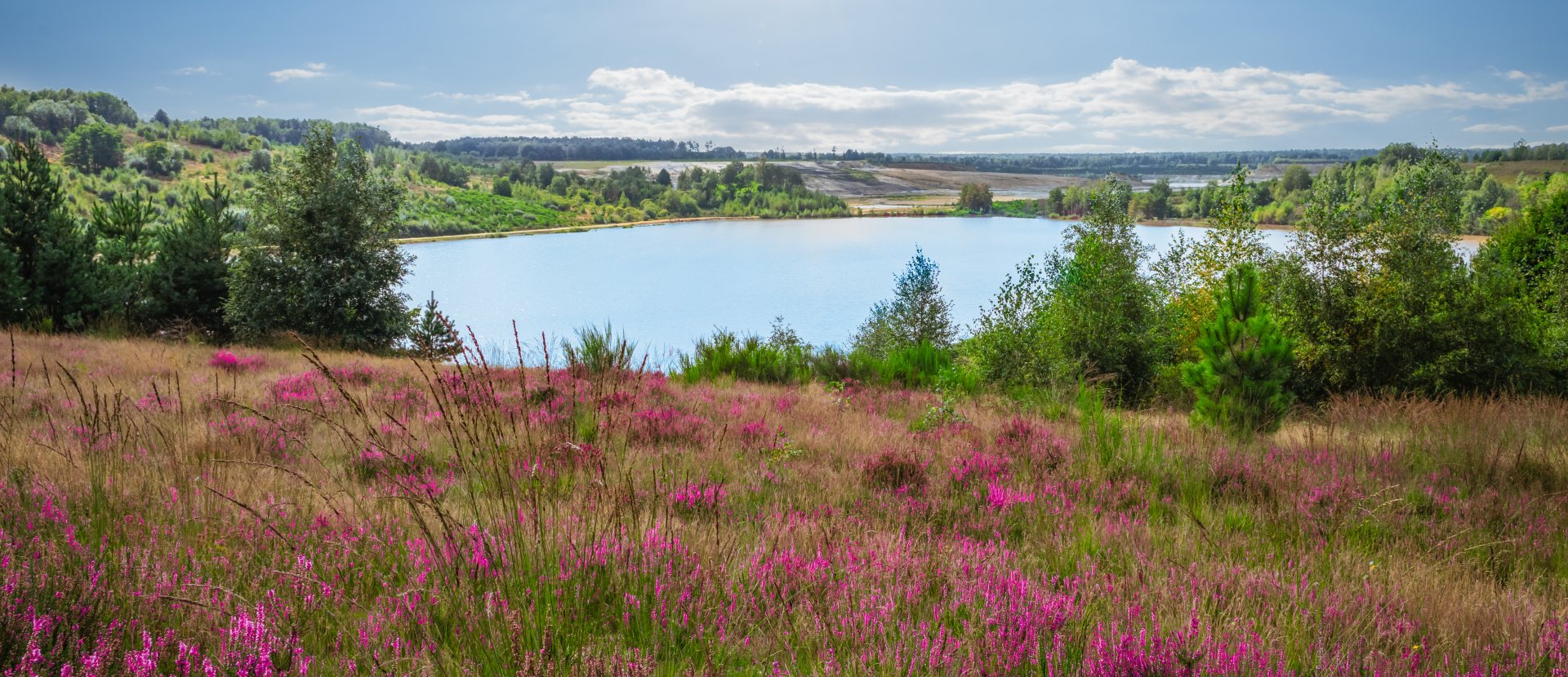 Nationaal Park Hoge Kempen