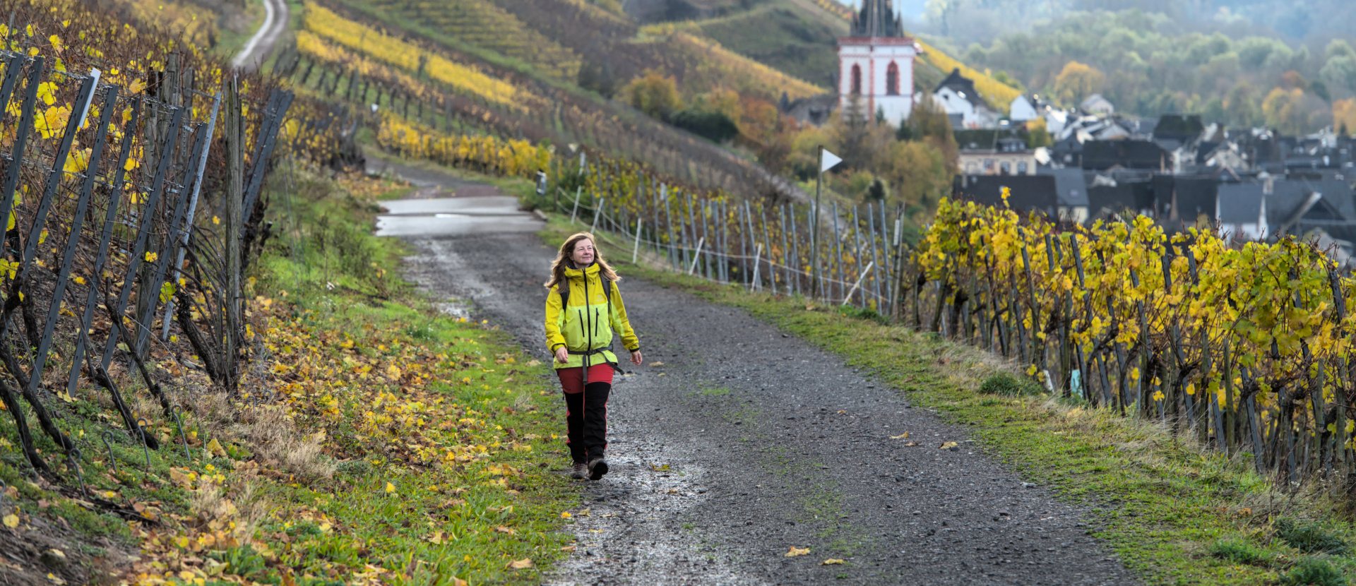 Wandelaar op de Moselsteig wandelroute