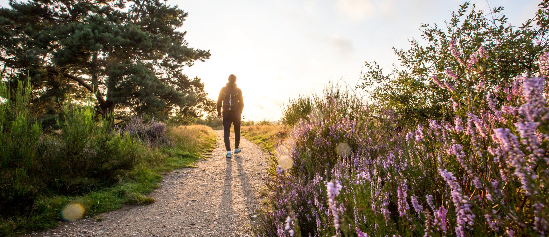 Wandelen Vlaanderen