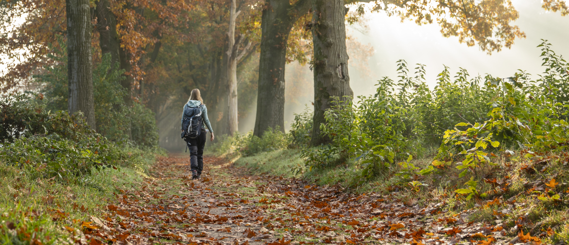Kloosterwandelingen Brabant