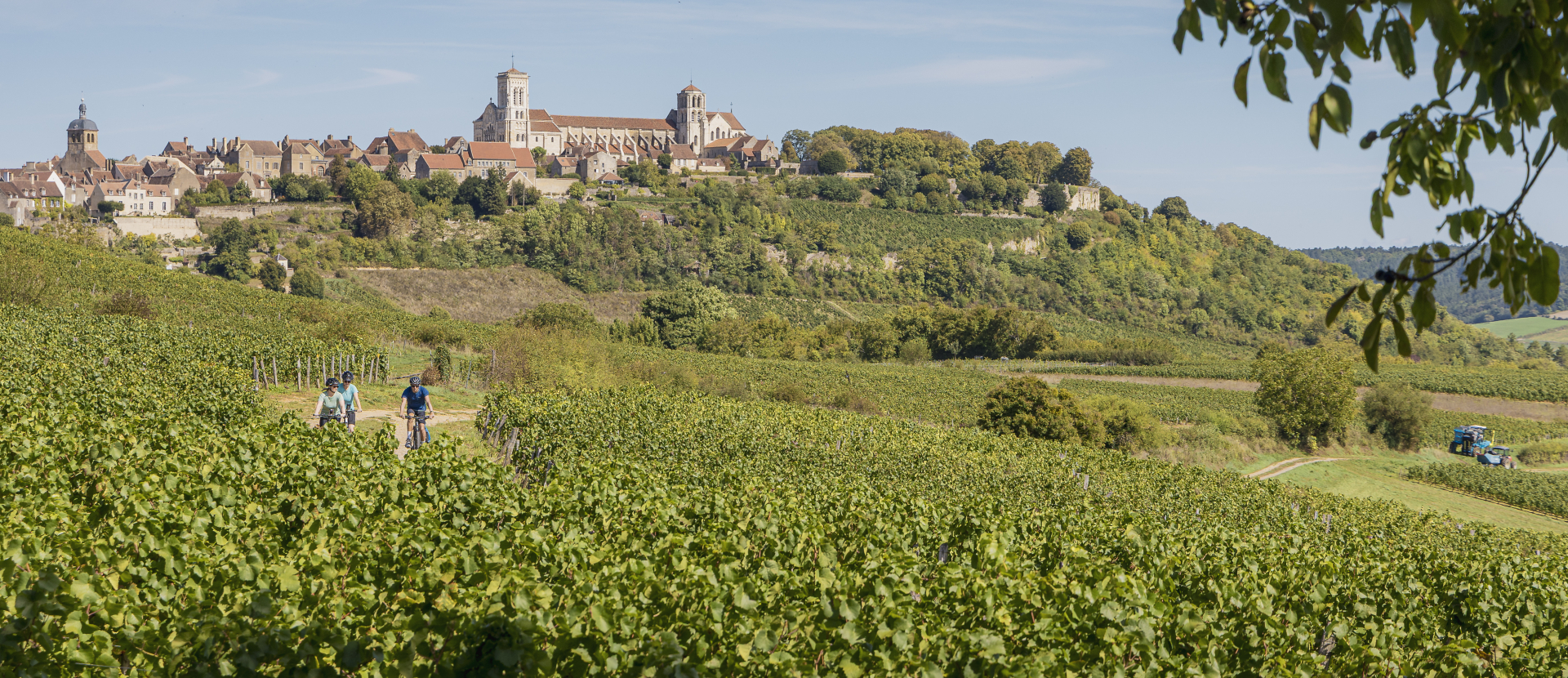 Fietsen in Frankrijk Vezelay