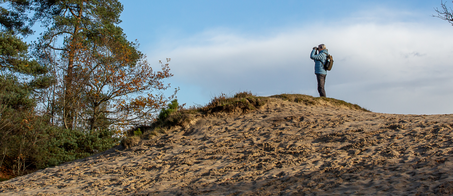 Winterwandelen Friesland