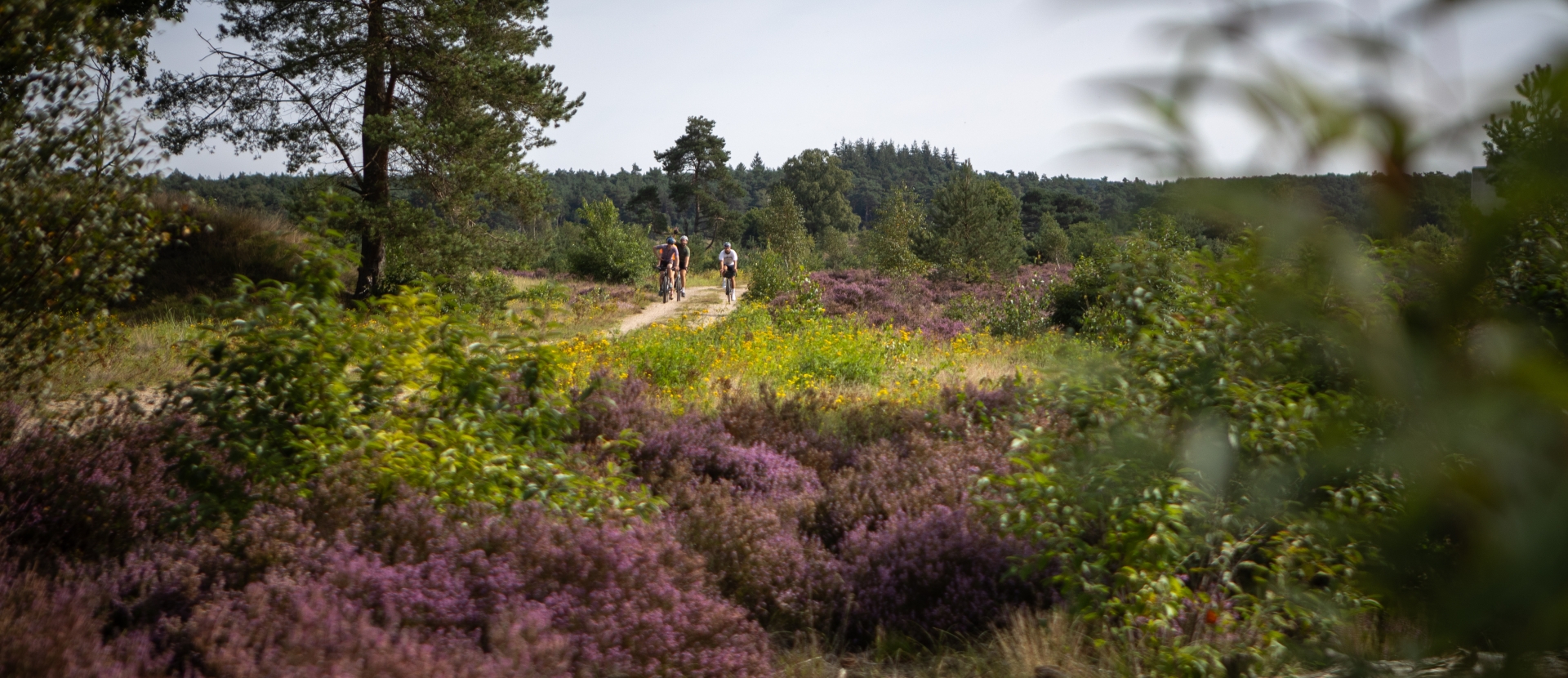 Veluwe Gravel