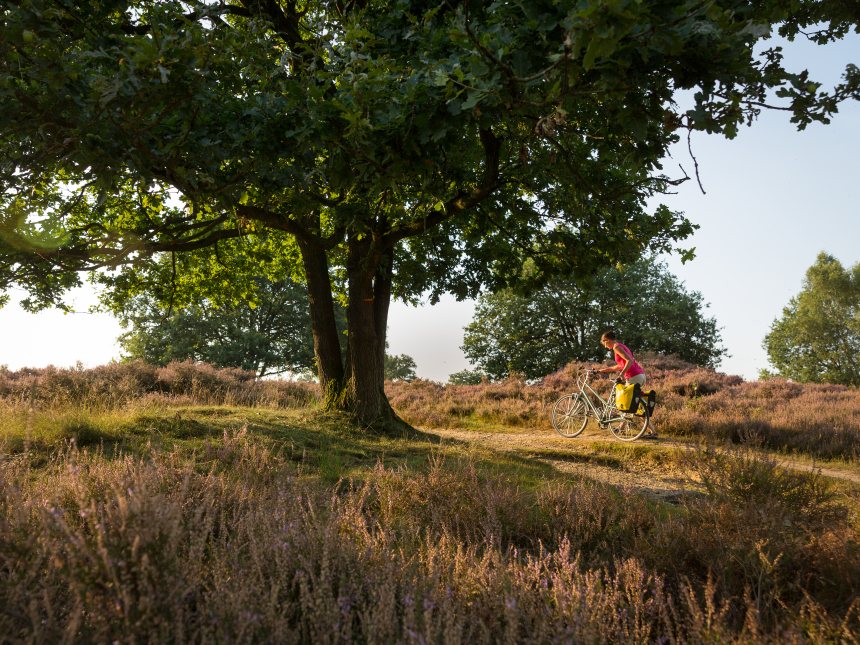 Fietserpad fietsen langs het Pieterpad