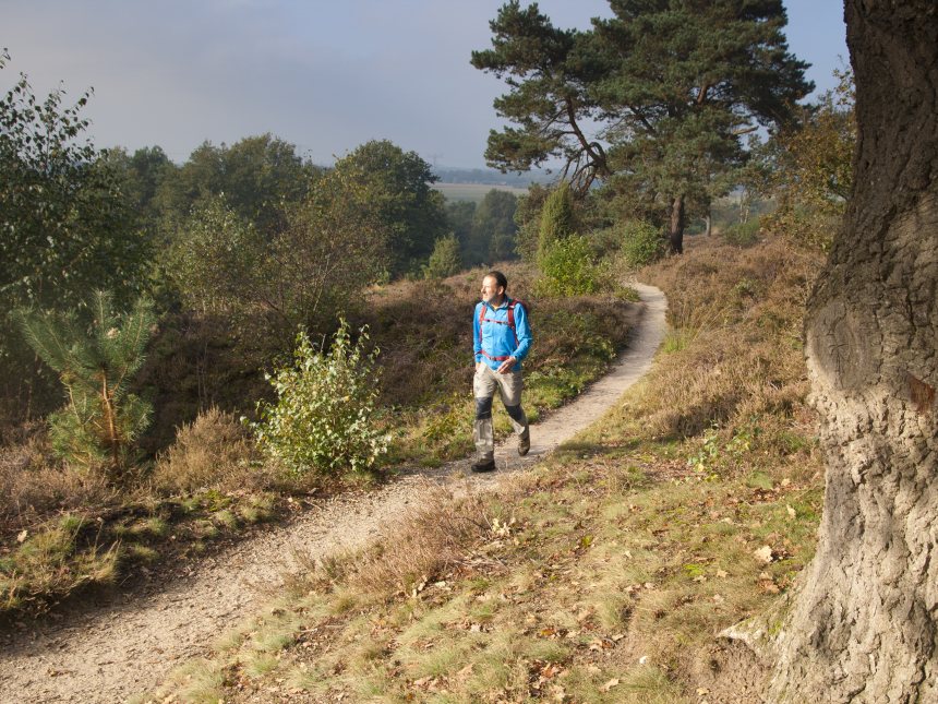 Wandelroute Sallandse Toppentocht