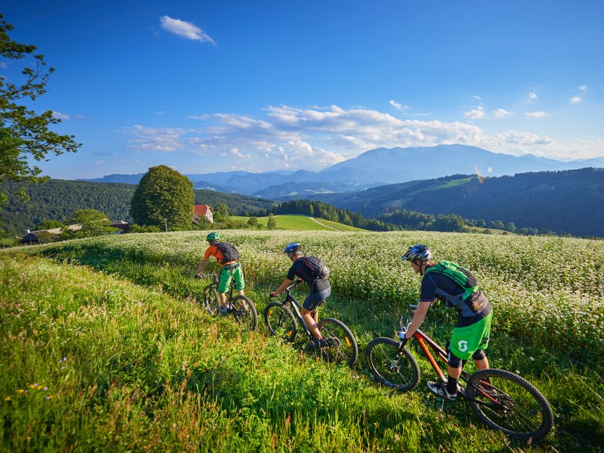 Fietsen in Slovenië