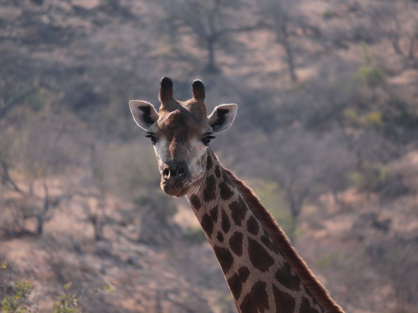 Wandelgebieden Zuid-Afrika