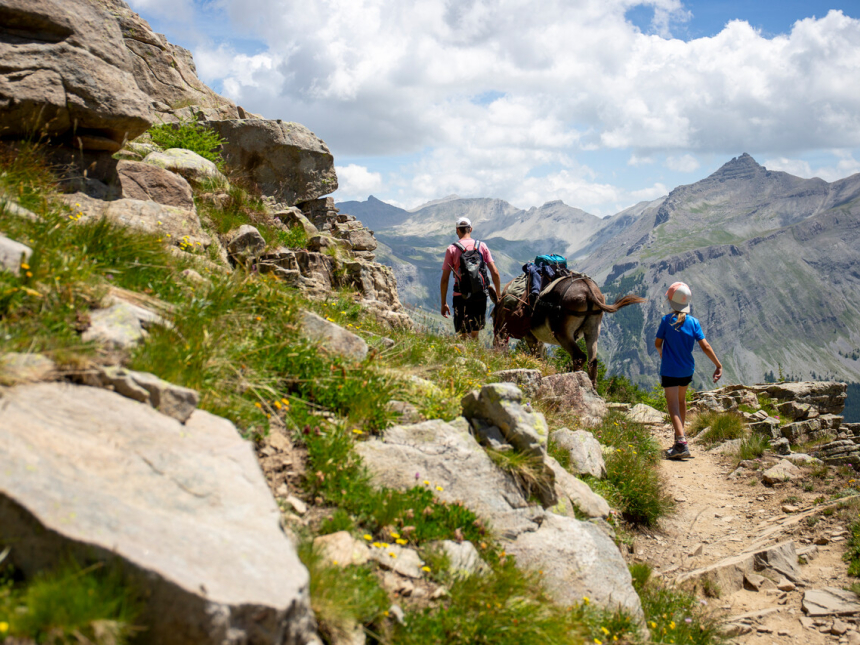 Ezeltocht Mercantour Frankrijk