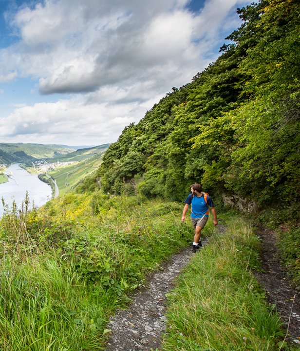 Moselsteig wandelroute