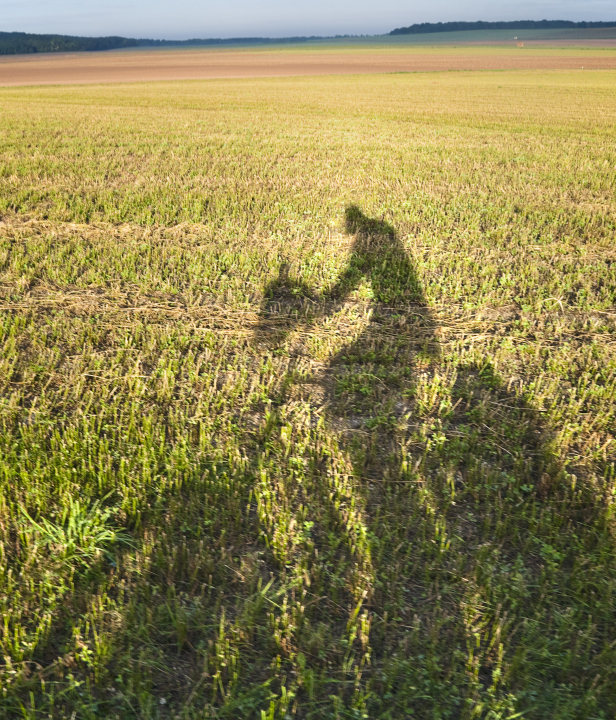 Fietsen Frankrijk Frontlijnroute schaduw