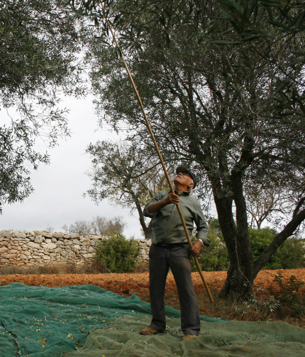Fietsen in Portugal Algarve