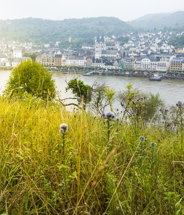 Rheinsteig trail wandeling