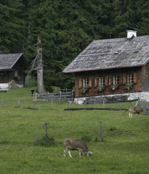 Hut in Oostenrijk