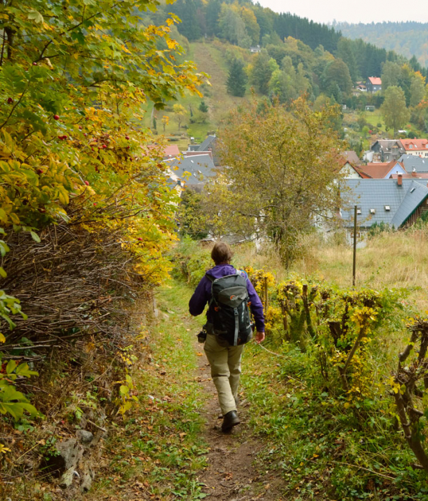Wandelen in Thuringer wald