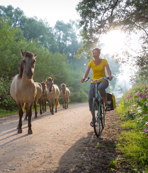 Fietserpad Op Pad
