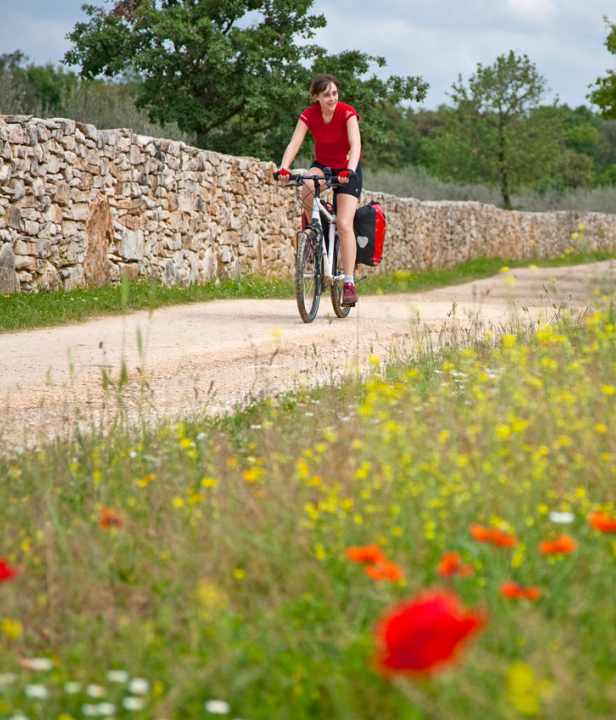 Fietsen Kroatië Istrië
