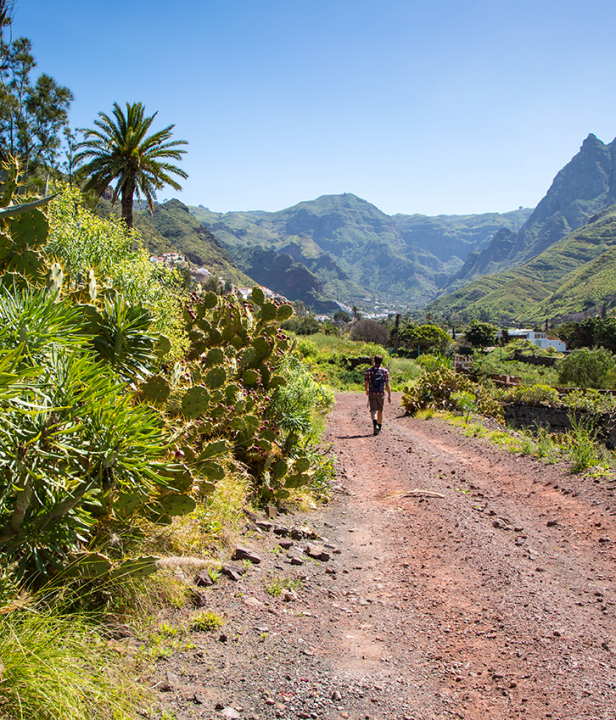 Bas van Oort wandelen op Gran Canaria 
