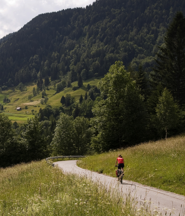 Fietsen in Slovenie
