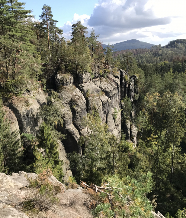 Boheems Zwitserland, Edwin Otto, Tsjechië, bos, vergezicht rotsen