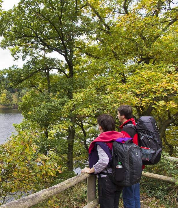 Wandelen in de Eifel Duitsland