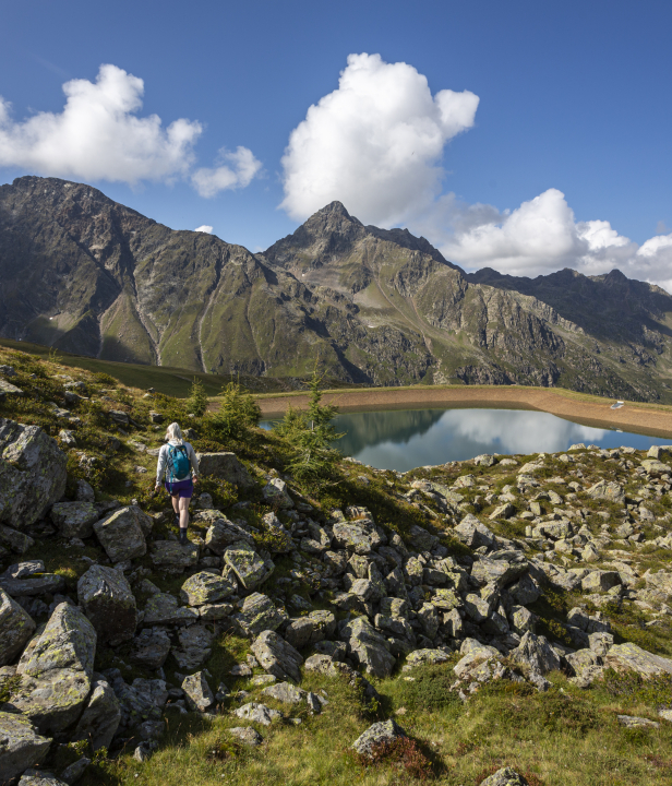 Lex van den Bosch, Defereggental