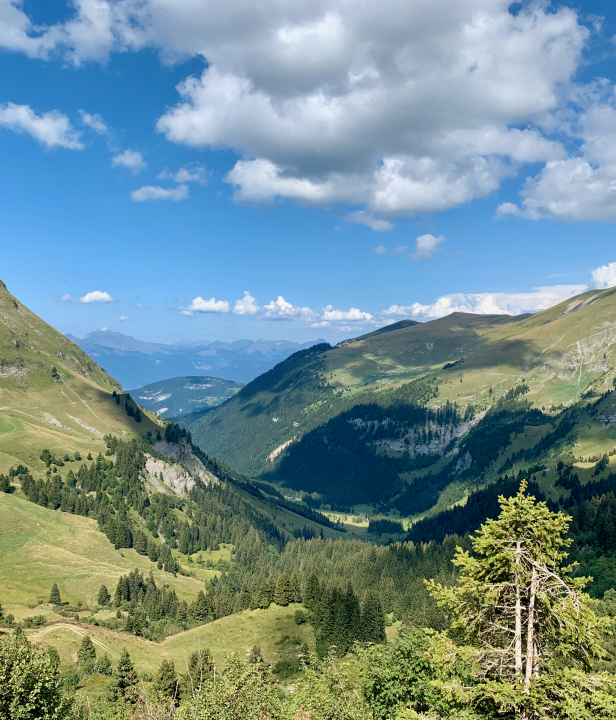 Haute Savoie dal