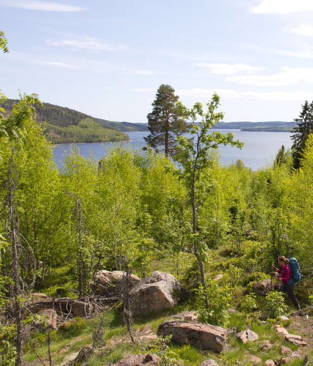 Wandelen Hoge Kust Zweden