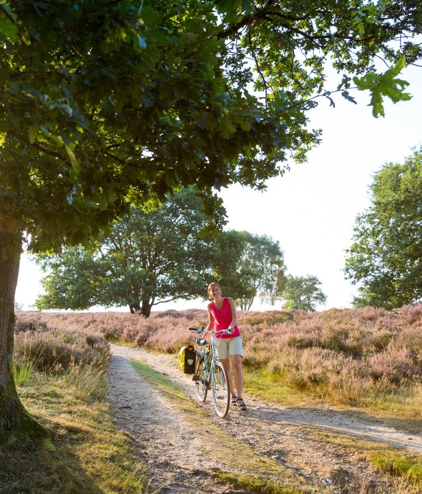 Fietserpad fietsen langs het Pieterpad