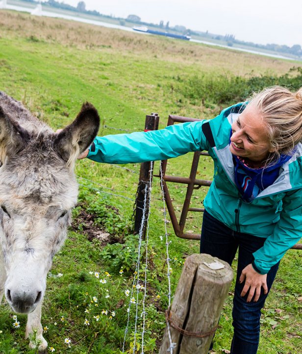 Wandelen Maarten van Rossumpad LAW-4