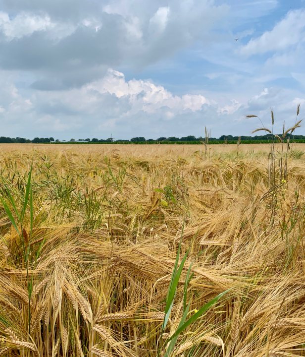 Fietsroute Rondje Drenthe
