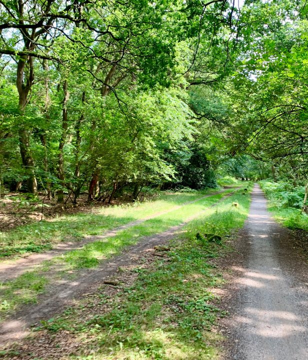 Fietsroute Rondje Drenthe