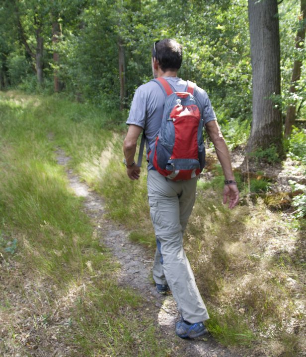 Wandelen Drunense Duinen De Brand