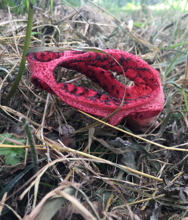 De Brand & Drunense Duinen